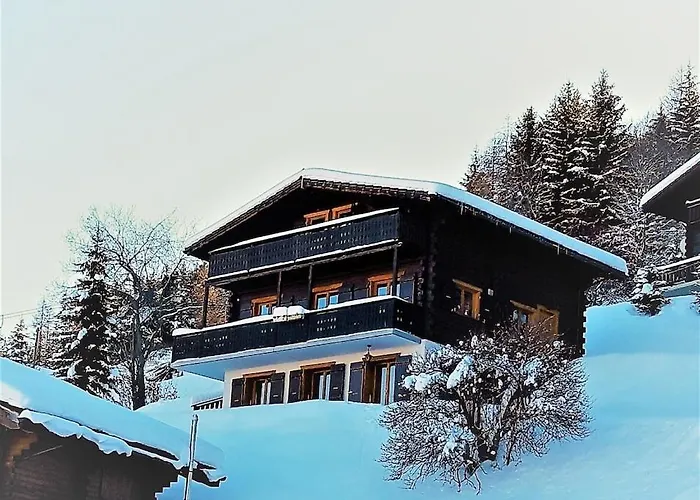 - Verbier 4 Vallees - Grand 5 Chambres, In/out, Sauna * La Tzoumaz